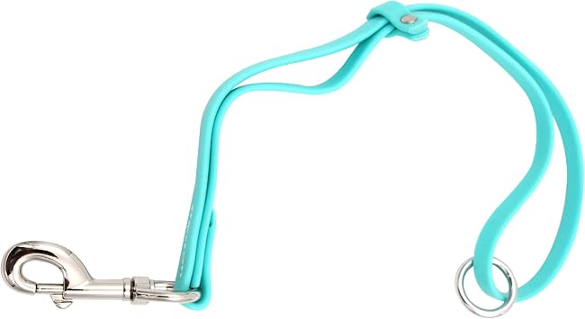 GROOMER ESSENTIALS Waterproof Grooming Loop - Turquoise