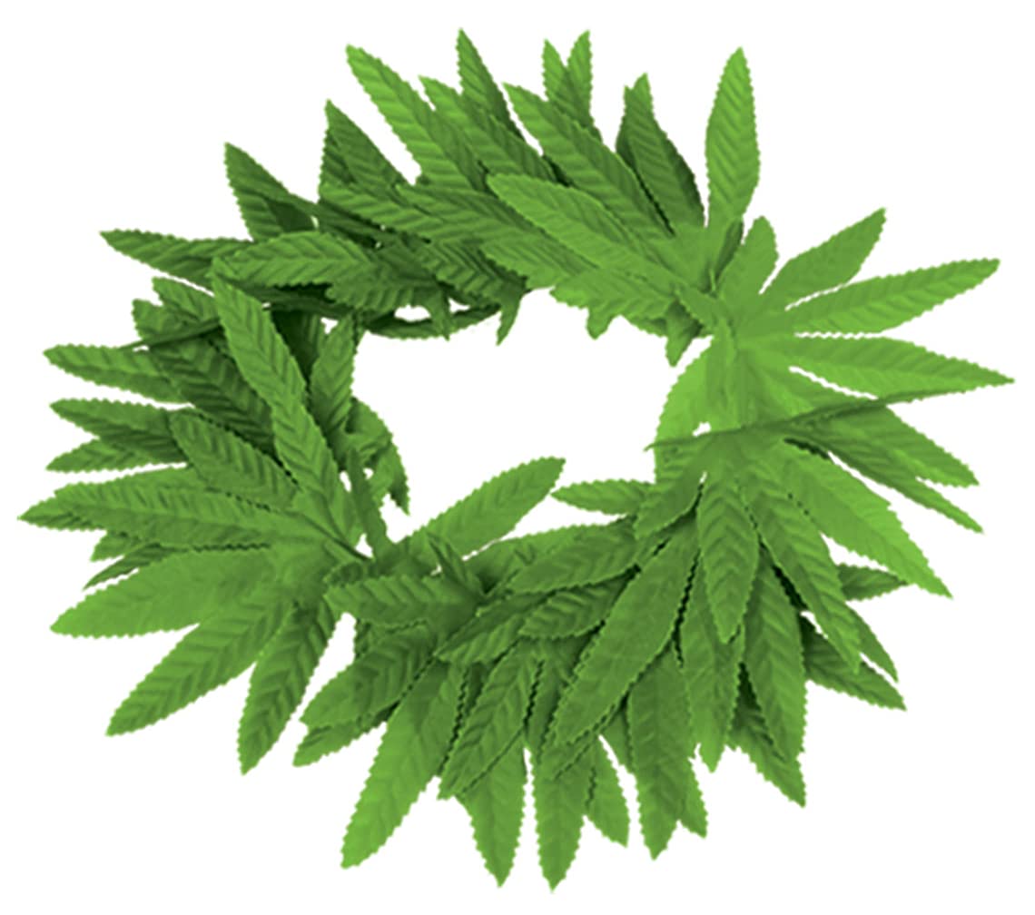 Beistle 12-Pack Tropical Fern Leaf Headband, 20-Inch, Green