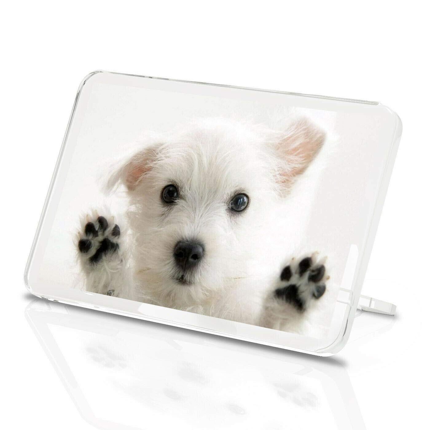 Destination Vinyl Magnets Multicolor 1 X Fridge Magnet -Westie Puppy Classic Fridge Magnet - West Highland Terrier Puppies Gift #8954