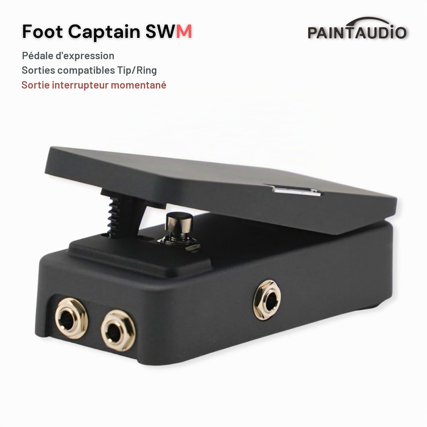 Paint Audio Foot Captain Pédale d'expression multi-effets compatible avec connexion pointe/anneau (Foot Captain-SWM)