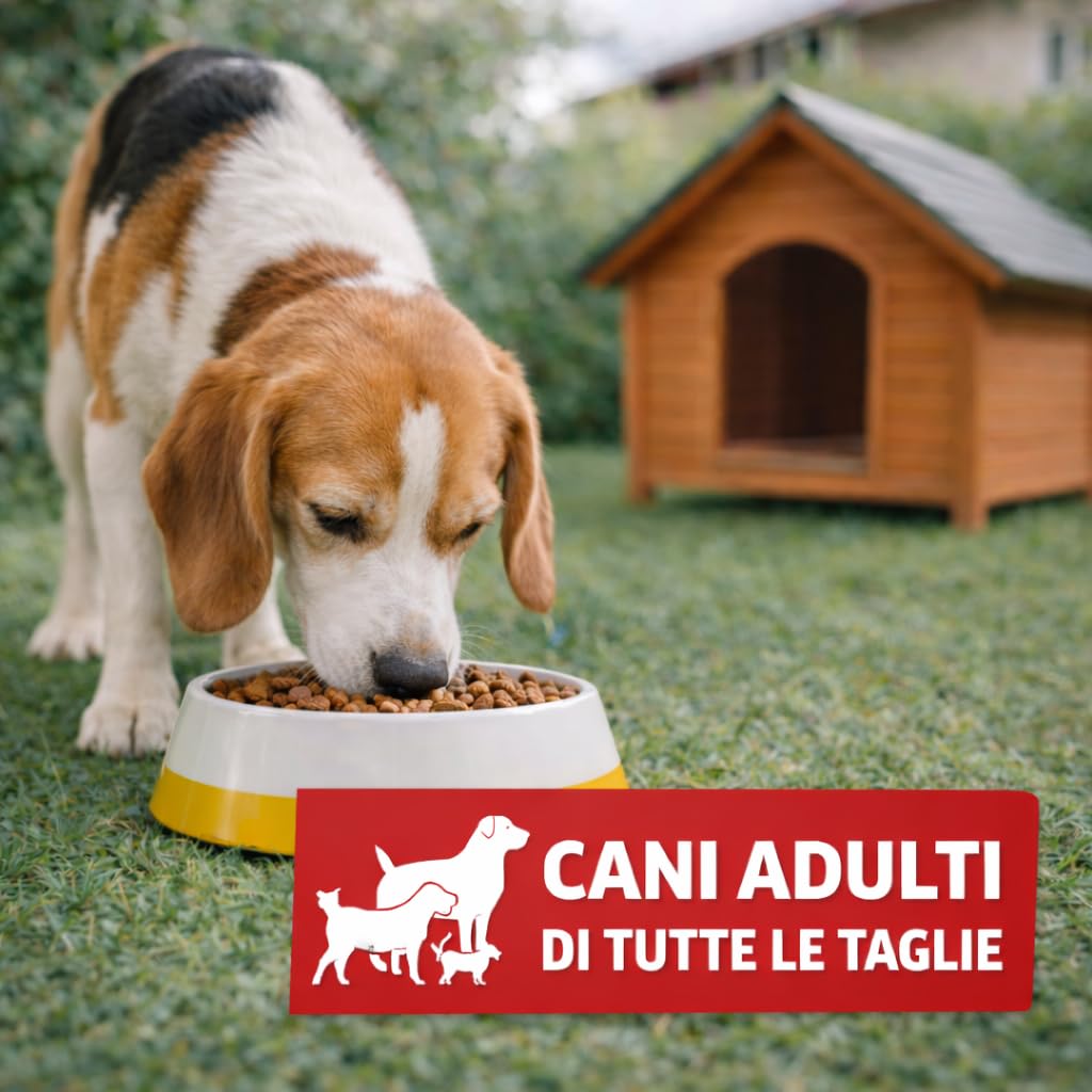 Mangolè Tasty Dog Adult Maiale 20 kg Croccantini per Cani Adulti Tutte le Taglie Alimento Completo con Proteine Animali 25% Made in Italy