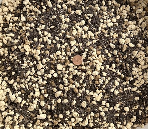 Generic 2.5 Quarts Premium Mixed Acid Loving Plants, Azalea Bonsai Soil with Japanese Kanuma...