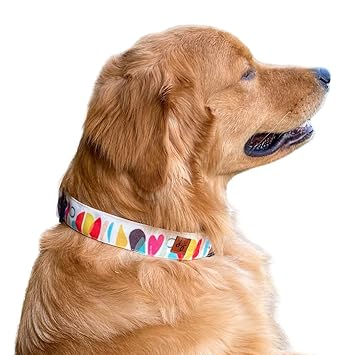 Lana Paws Candy Crush Soft & Sturdy Adjustable Fabric Dog Collar Belt (Large)