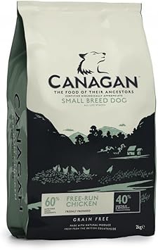 ll bean dog flip flops