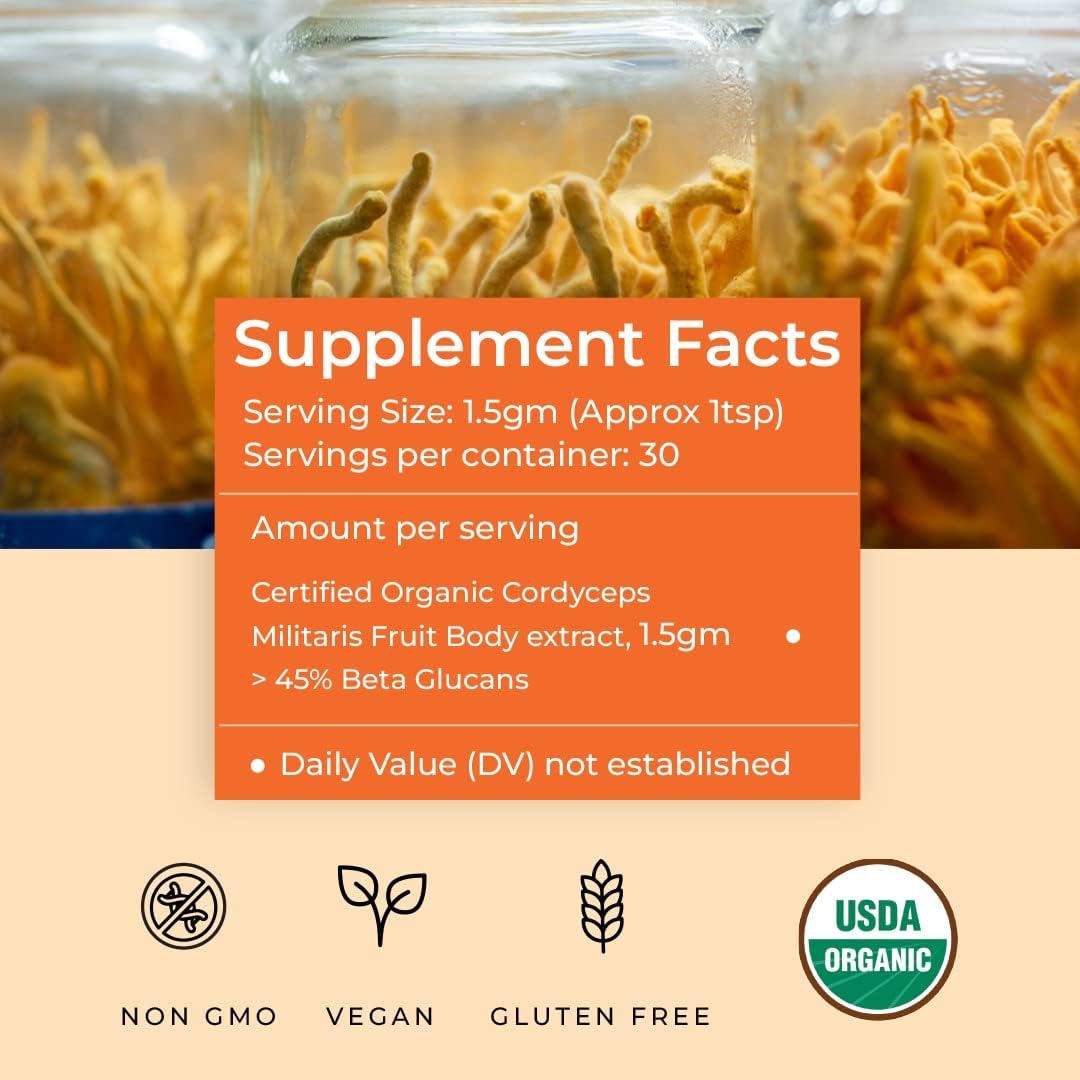 Rooted Active Naturals Organic Cordyceps Militaris Mushroom Extract Capsules, 500mg, 60 Count, Energy, Endurance, Performance (Pack of 2) - Image 8 thumbnail