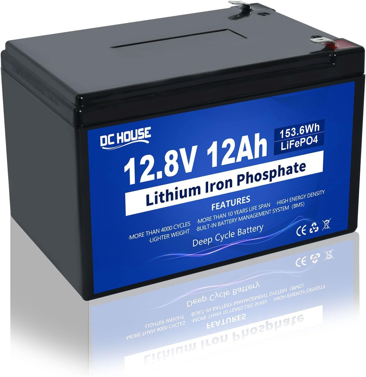 DCHOUSE 12V 12Ah LiFePO4 Lithium Battery, 10 Year Lifespan & 10,000+ Cycles, with 15A BMS, Safe & Lightweight for Power Wheels, Mobility Scooters, Trolling Motors, Kayak, Fish Finder, Ride-On Toys