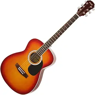 Legend レジェンド アコースティックギター ケース付き FG-15(A) CS