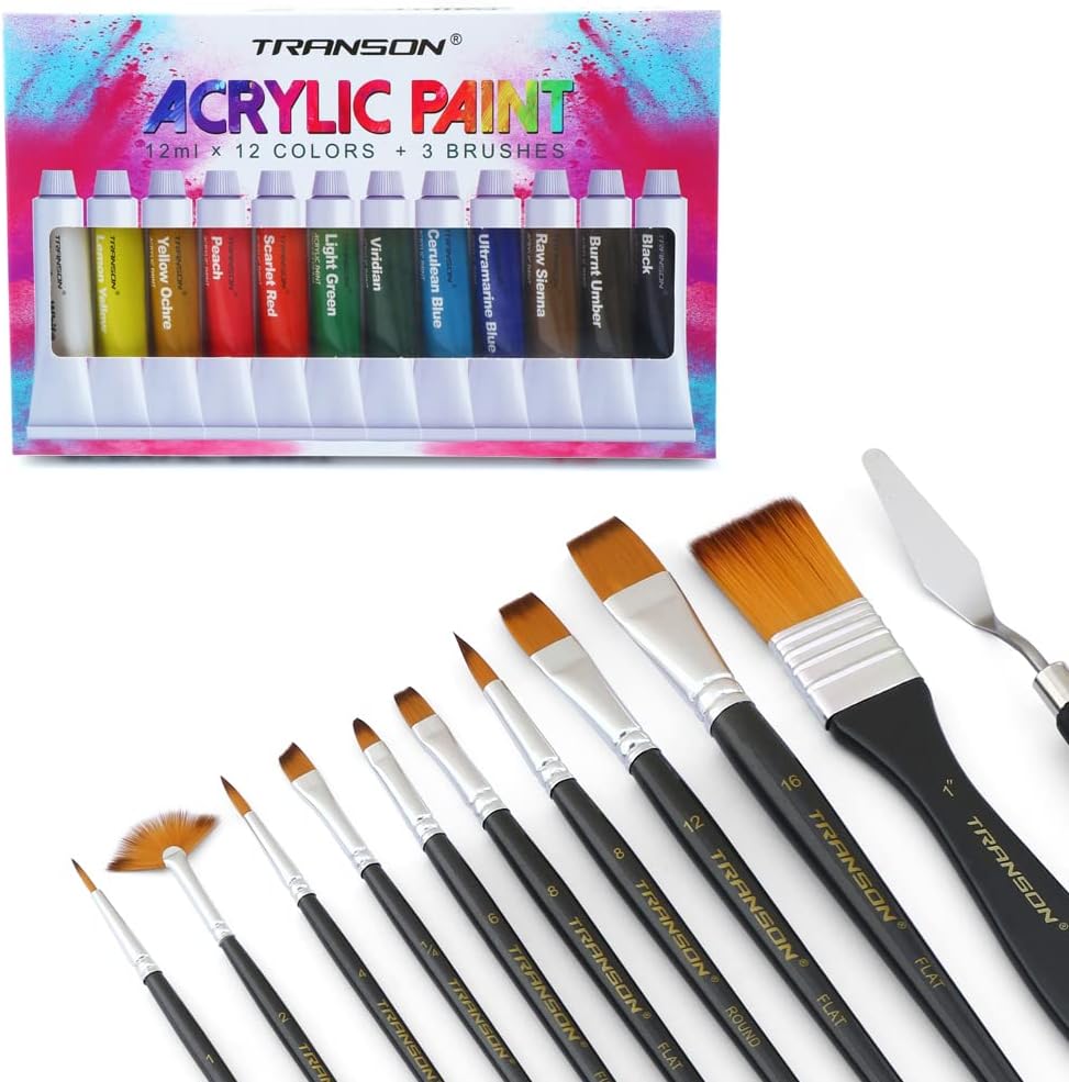 Transon Assorted Paint Brush Kit 11pcs with Acrylic Paint
