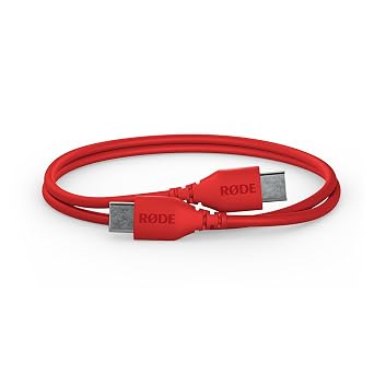 RDE SC22 USB-C to USB-C Cable 30cm, Red