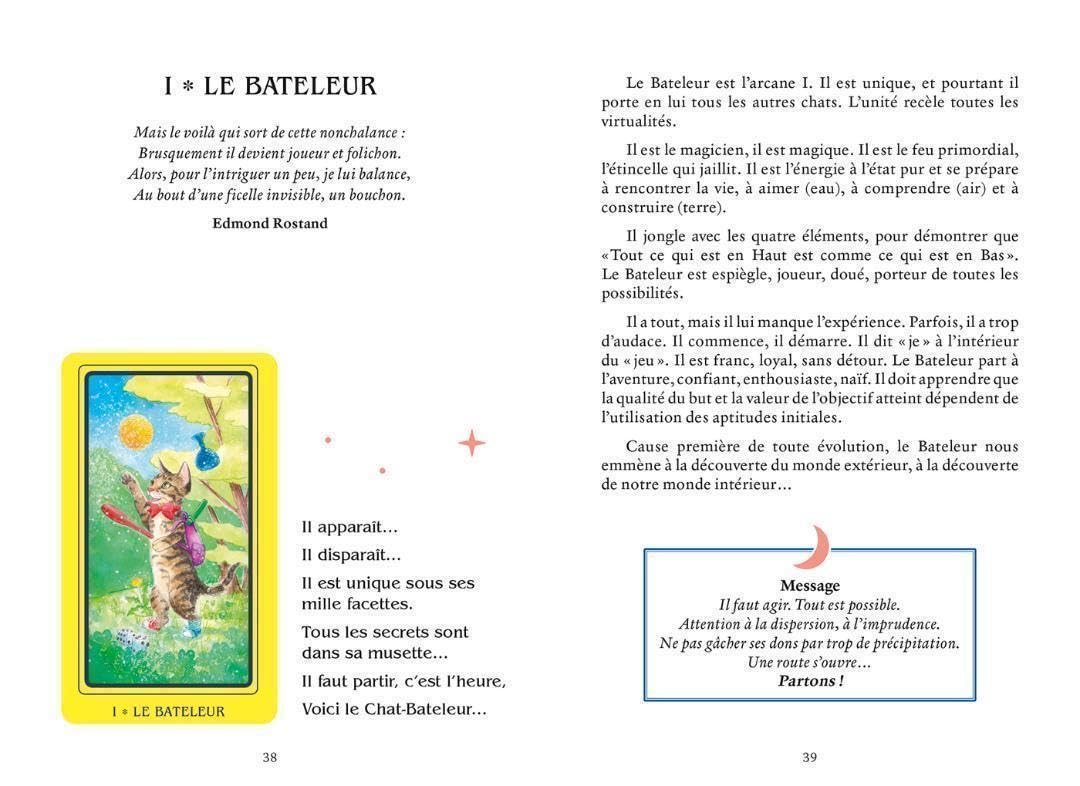 Amazon.co.jp: 2023年 フランスの激かわデッキキュートな猫たちの