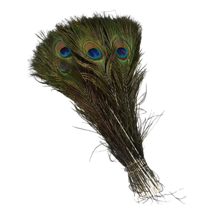 Plumes de paon authentiques de 25-30 cm aux reflets naturels profonds pour grand vase