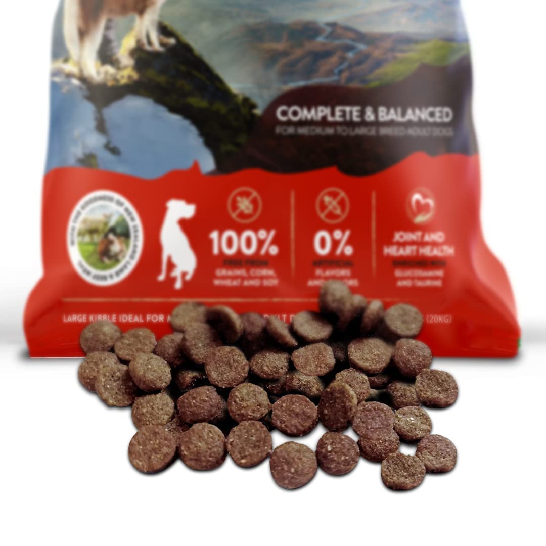 Amazon.co.jp: Y.K アディクション メガ グレインフリードッグフード