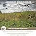 Lucky Duck Dove Flocker Motorized Decoy Stand