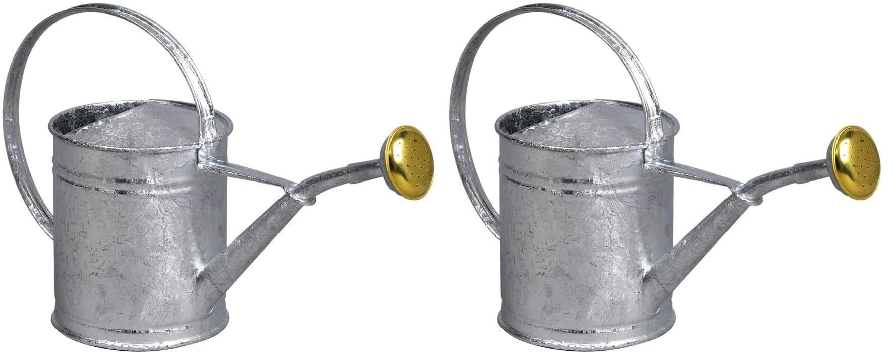 Arrosoir 1L en acier galvanisé robuste Guillouard 80300 gris, la tradition du jardin