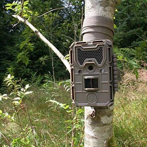 Amazon.co.jp: Bushnell 16MP Trophy Cam HD Essential E3 Trail