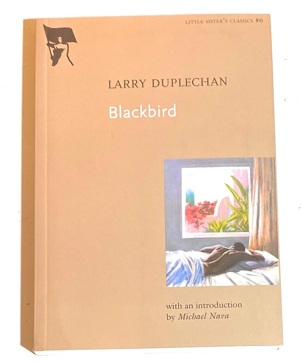 Buy Blackbird (Little Sister's Classics) — BookShops.in