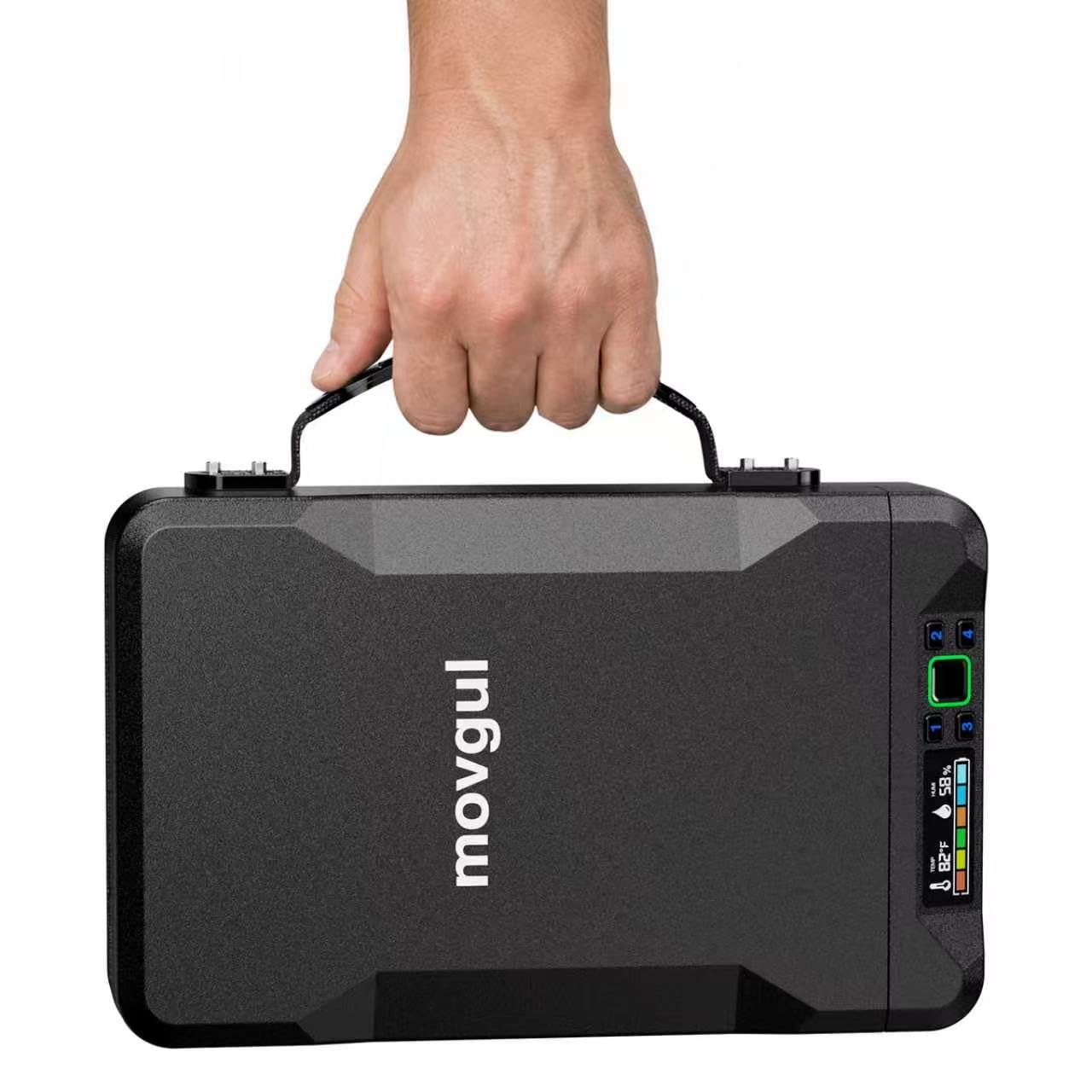 Small Biometric Gun Safe with Carry Handle and LCD, Fingerprint Portable Handgun Pistol Safe for Car Travel,Bedside,Nightstand
