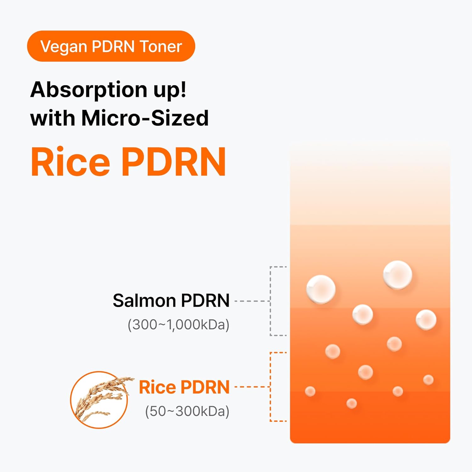 DearKlairs Freshly Juiced Vitamin C Toner, Vegan PDRN Essence, Dull Uneven Skin Tone, Non-Sticky, Dark Spot Care, Vitamin C Capusules, Fragrance Free 6.08 Fl Oz - Image 5