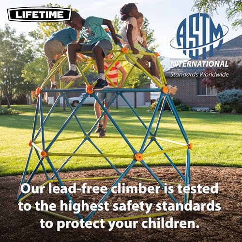 Lifetime 90994 Climbing Tower Jungle Gym, Blue/Green by LIFETIME - Used condition - Image 7