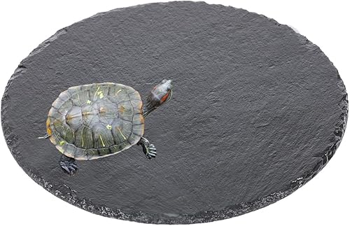 Plataforma para tomar el sol de reptiles Basking RockTortoise plataforma de alimentación plato de comida cuenco decoración de hábitat