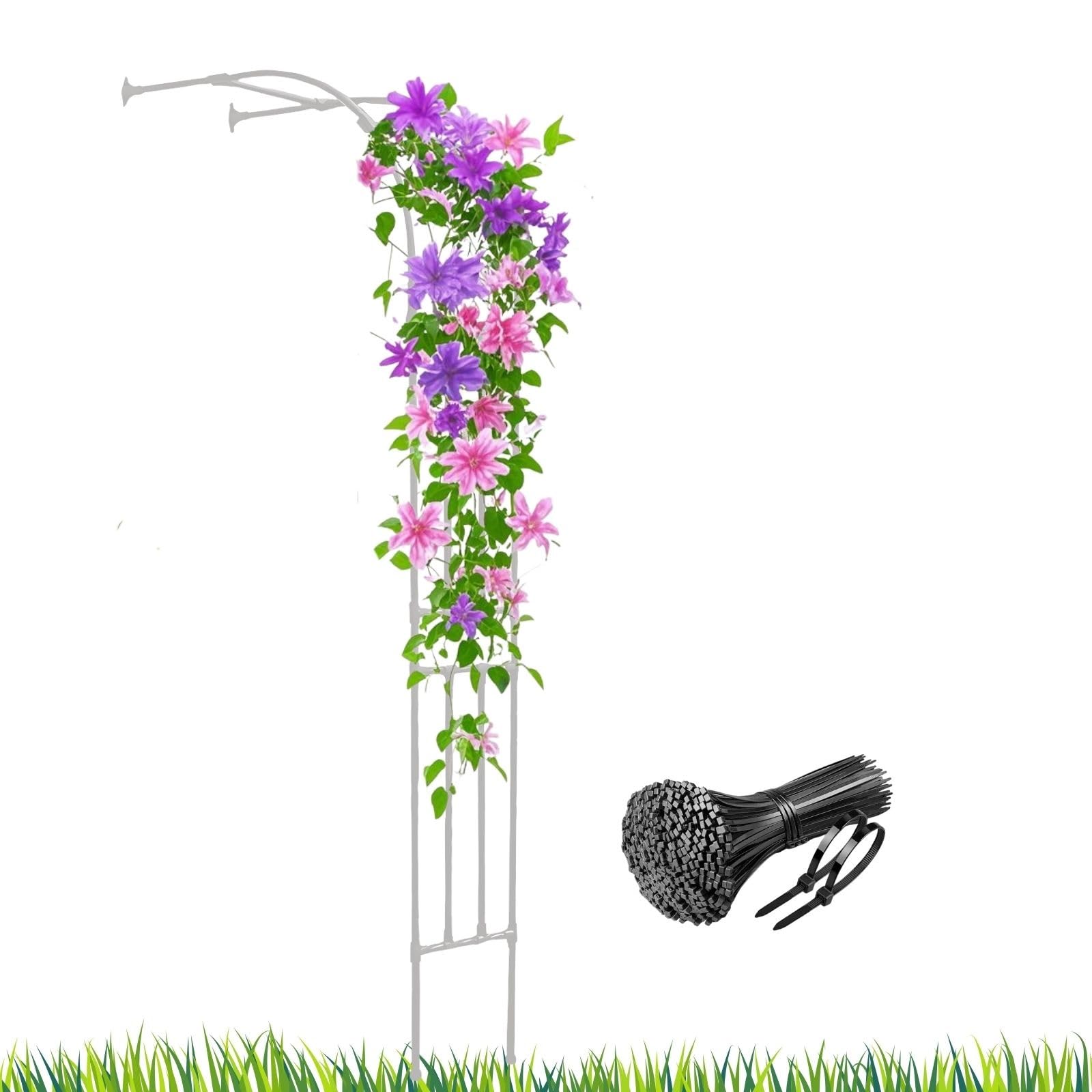 Halbseitiger Metall-Gartenbogen für Kletterpflanzen – für den Außenbereich, Stahl, Pera-Rankgitter, 150 cm breit x 240 cm hoch, Blumenunterstützung für Rosen, Jasmin, Terrasse und Innendekoration