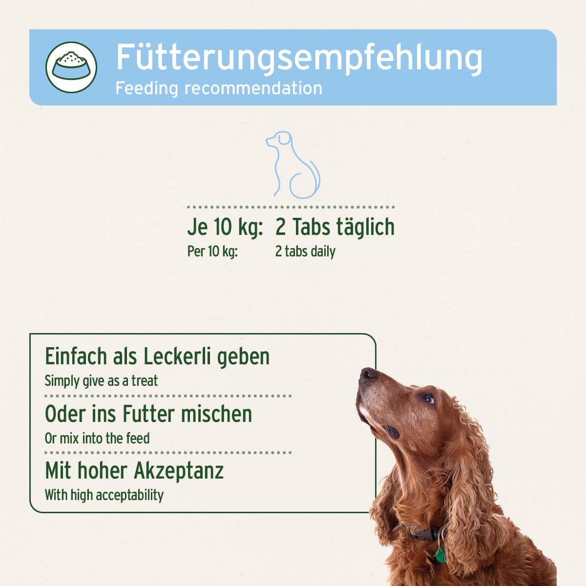 AniForte Lievito di birra per cani 500 Tabs - prodotto naturale, pelo lucido e forte, pelle vitale, rafforzamento generale e promozione della condizione, vitamine e minerali importanti