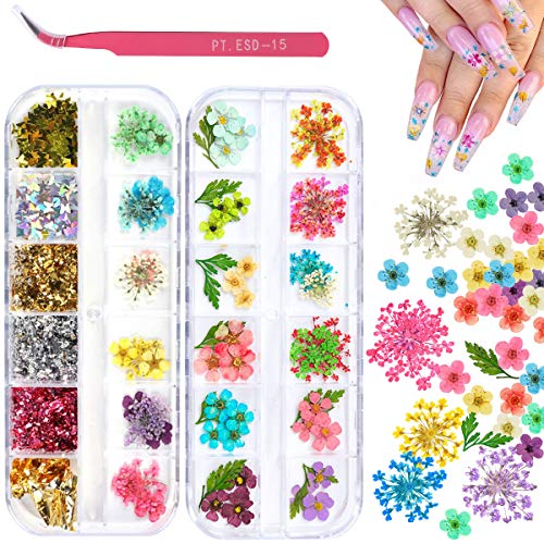 2 Boxes Dried Flowers Sequins for Nail Art, KISSBUTY 24 Colors Dry Flowers Mini Real Natural Flowers Holographic Nail Art Sequins Butterfly Nail Sequins Nail Foils Applique (Mixed Colors 4)