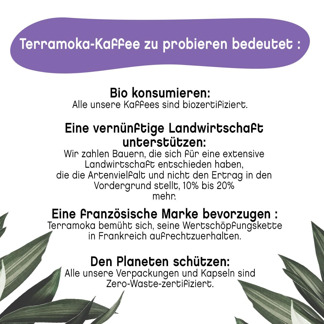 TERRAMOKA - Exzellenter Bio-Kaffee - 100% reiner Arabica aus Peru - Fruchtig, nuanciert und rassig - 300 Kapseln Kompatibel Zero Waste - Mr Albert- Frankreich