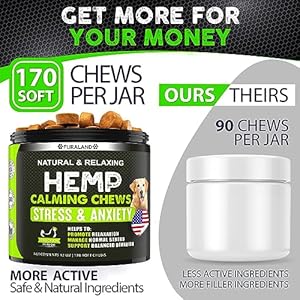 Hemp Calming Chews for Dogs with Anxiety and Stress – 170 Dog Calming Treats – Storms, Barking, Separation – Valerian Root – Melatonin – Hemp Oil – Dog Anxiety Relief – Made in USA | Soft Chews
