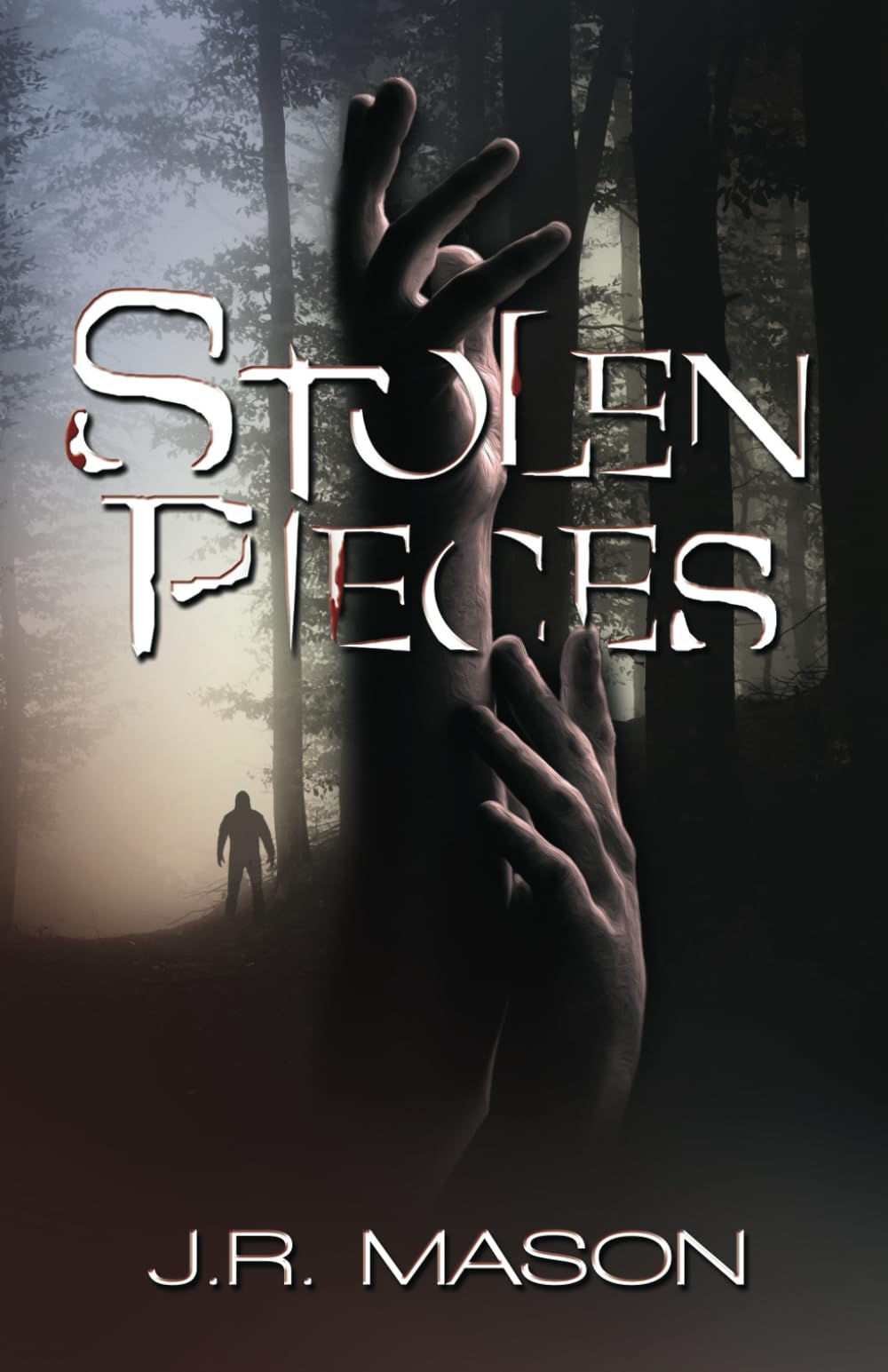 Stolen Pieces (Stolen Pieces Series)