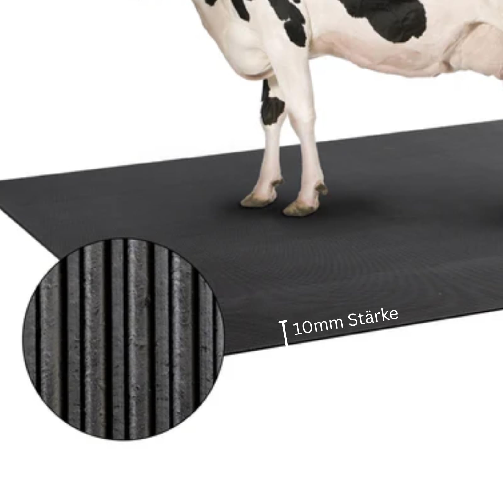 etm Tappetino in gomma per l'allevamento di animali, adatto per cavalli, adatto alle articolazioni, resistente alle intemperie e facile da pulire, tappetino in gomma antiscivolo (200 x 100 cm)