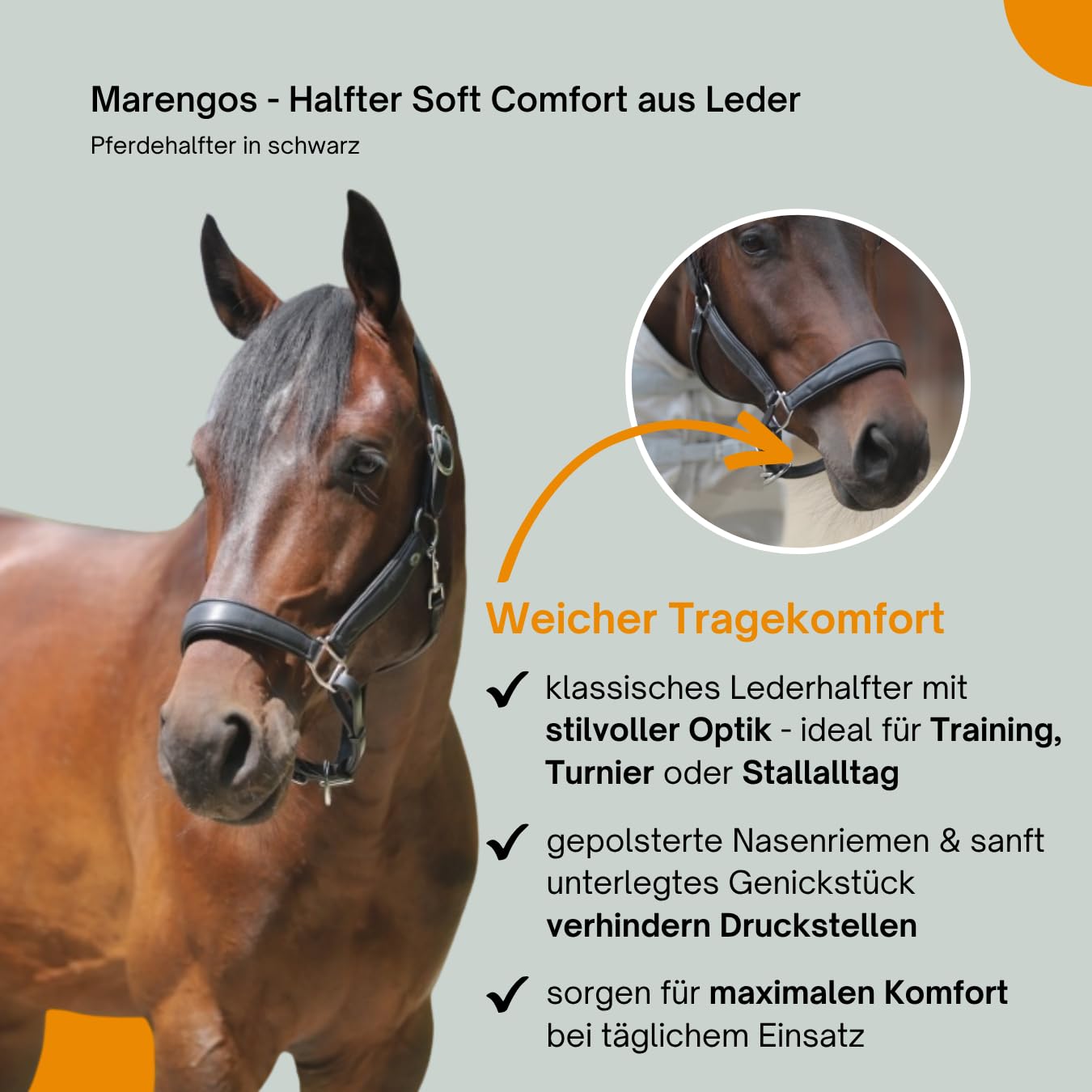 Marengos - Halfter Soft Comfort aus Leder – Pferdehalfter mit weich gepolstertem Nasenriemen & Genickstück – edles Lederhalfter – Pferde Zubehör in Schwarz – Vollblut, Warmblut & Pony