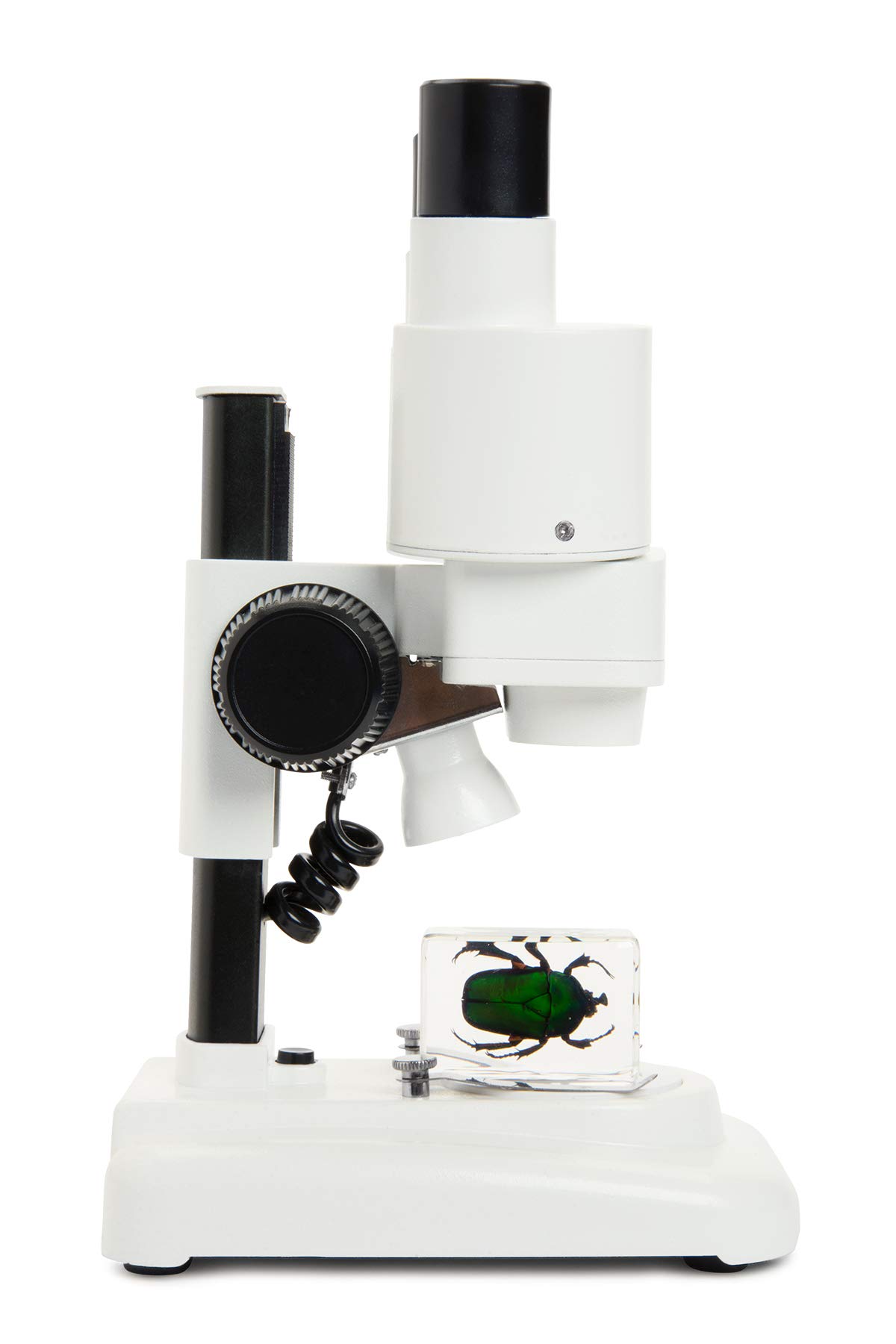 Celestron 44207 Labs CL-S20 Microscopio stereo