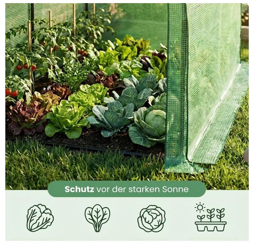 BDW Serra con struttura in metallo e pellicola in polietilene, 100 x 200 x 210 cm, protezione UV, 1 porta e 2 finestre, acciaio verniciato a polvere (verde)