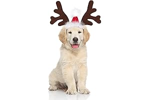 BWOGUE Dog Elk Reindeer Antler Headband with Santa Hat Pet Pet Christmas