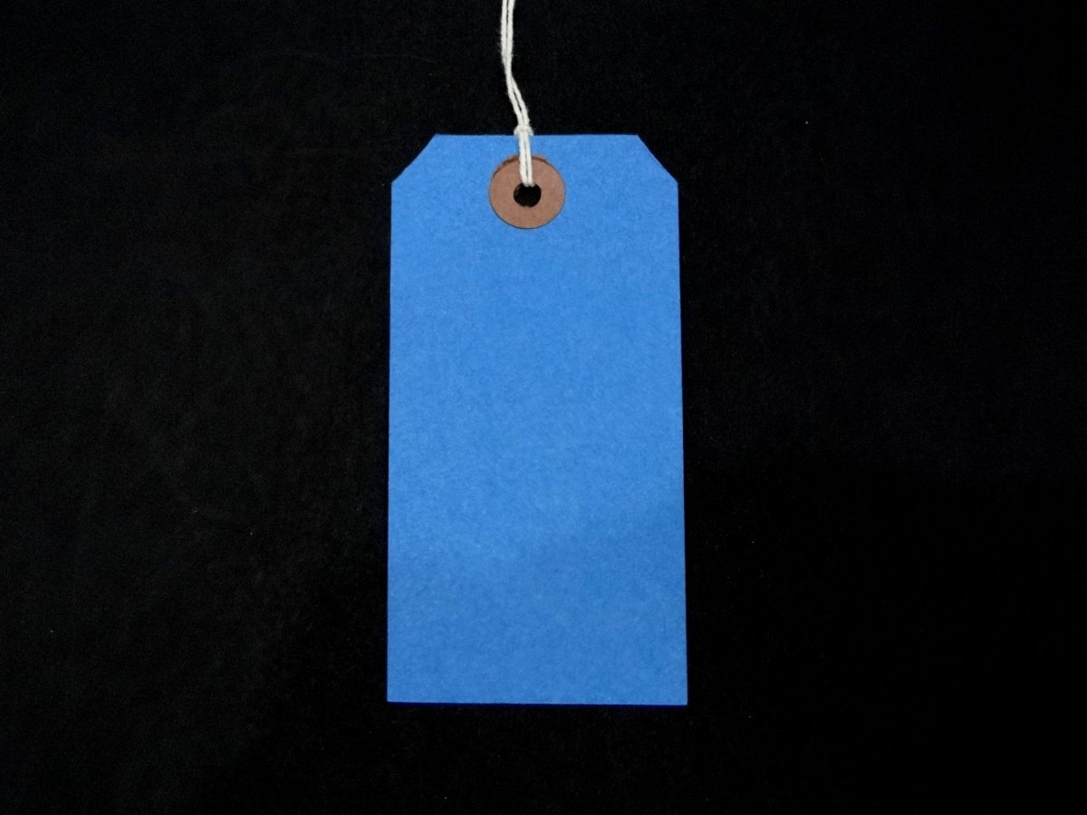 Ivy Blue Strung Tags 120mm x 60mm Luggage Labels Tags Tickets Tie On String Labels by Ivy