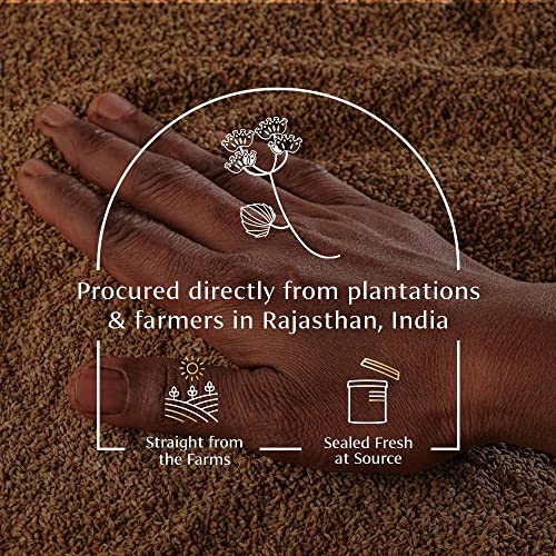 Image of VAHDAM, Carom Seeds Whole (2.47oz /70g) Gluten Free, Non GMO, 100% Raw Carom Whole, 100% Raw Ajwain Seeds from India | Carom Bishops Weed Seed for Cooking | Direct From Source