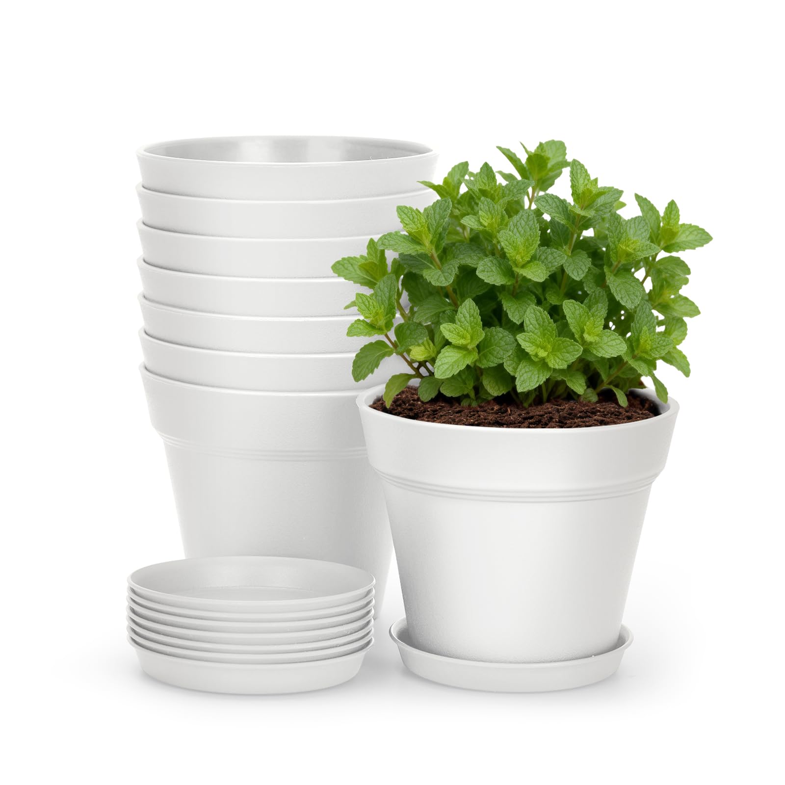 KINGLAKE 10cm Blumentöpfe mit Untersetzer - 8 Stück Pflanztöpfe Klein, übertopf Pflanztopf, Blumentopf Kunststoff Set, Topf Kleine Flower Pot für Pflanzen Kakteen Kräuter-Weiß