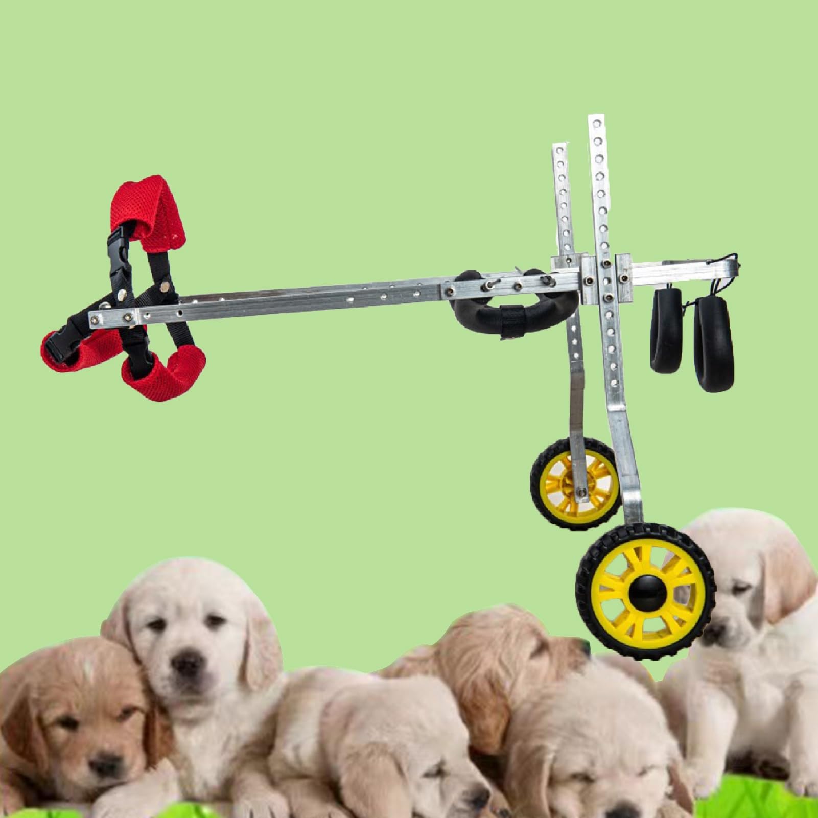 Fauteuil roulant pour chien arthrite rééducation pattes arrière marcheur animaux