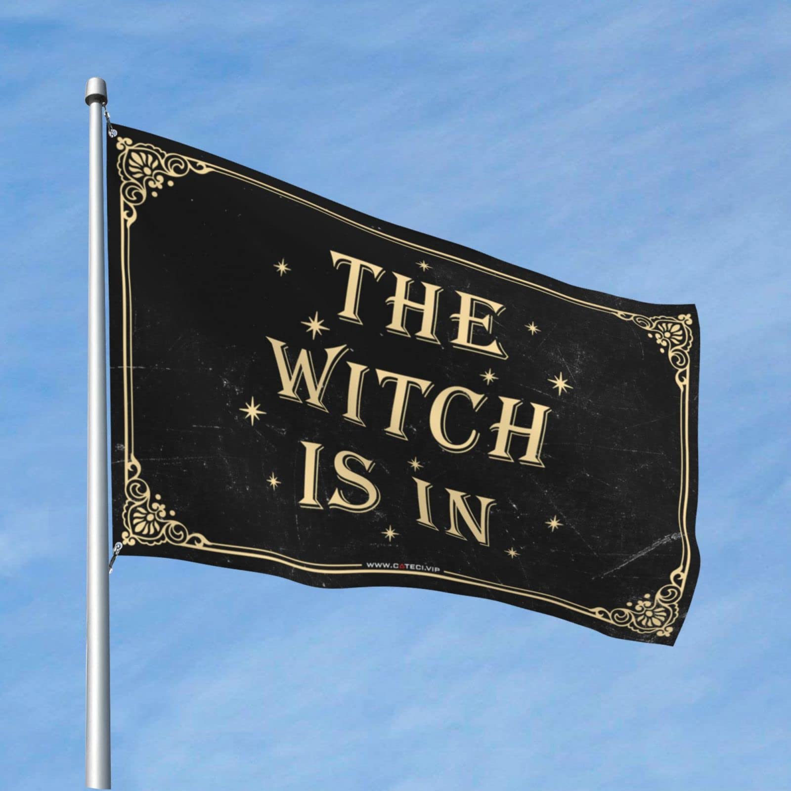 Dsoluuing Man Cabe Decor The Witch Is In Flag Outdoor Fall Decorations Flags For Outside (Size : 120X180cm)