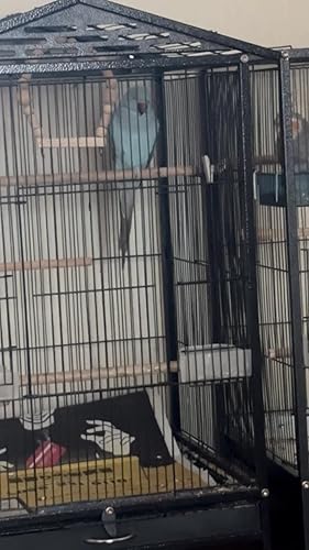 大型　鳥かご　ケージ　45.5✖︎45.5✖️58 大型 鳥かご ケージ 45.5✖︎45.5✖️58