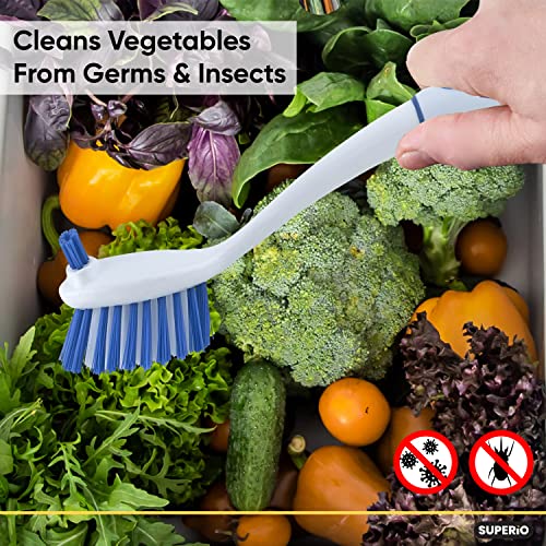 Image of Dish Washing Scrubber Vegetable Brush - Blue / White 2 Sided Bristles - Long Handle With Rubber Grip Non Scratch Kitchen and Bath Cleaning By Superio