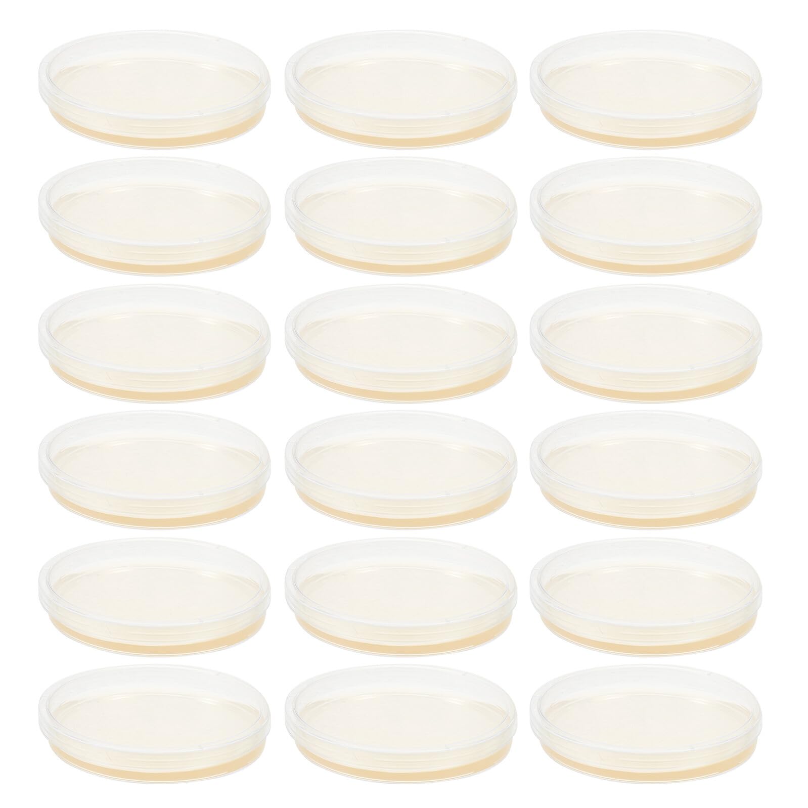 Cabilock 20 Piastre di Petri in Plastica Sterili da 9 Cm Agar Nutritivo Preversato per Esperimenti Scientifici, Coltivazione di Funghi e Progetti di Laboratorio Microbiologico, Pronte