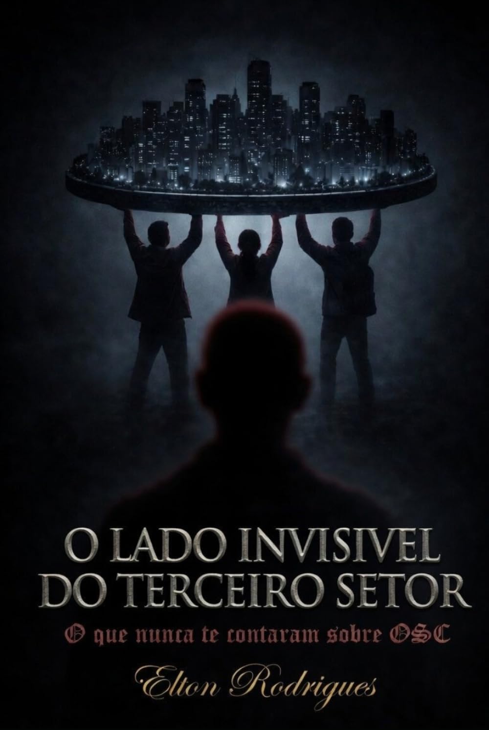 O lado invisivel do terceiro setor: O que nunca te contaram sobre OSC.