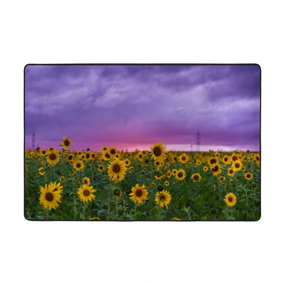 Tapis de salon grand format violet ciel en velours corail motif fleur moderne 183x122cm