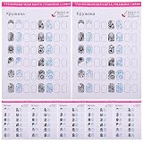 Beaupretty 12 Sheets Blank Nail Art Training Cards Practice Lines Drawing Painting Template for Wome