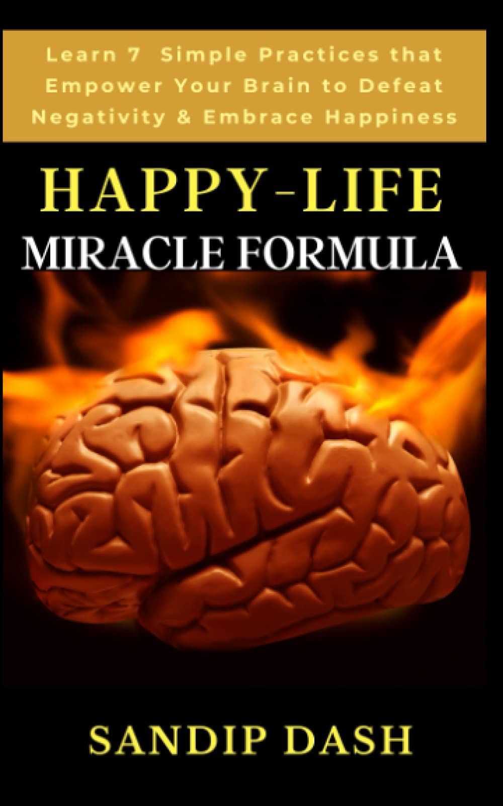 Happy-Life MIRACLE Formula: Learn 7 Simple Techniques that Empower your Brain to Defeat Negativity and Embrace Happiness