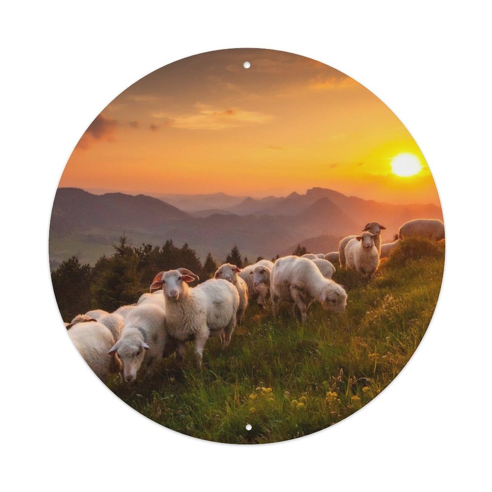 Animal Artwork Sheep on Grassland Vintage Metal Tin Sign Plaque Wall Decor for Cafe, Club Bar, Office, Garden Metal Poster 8x8Inch