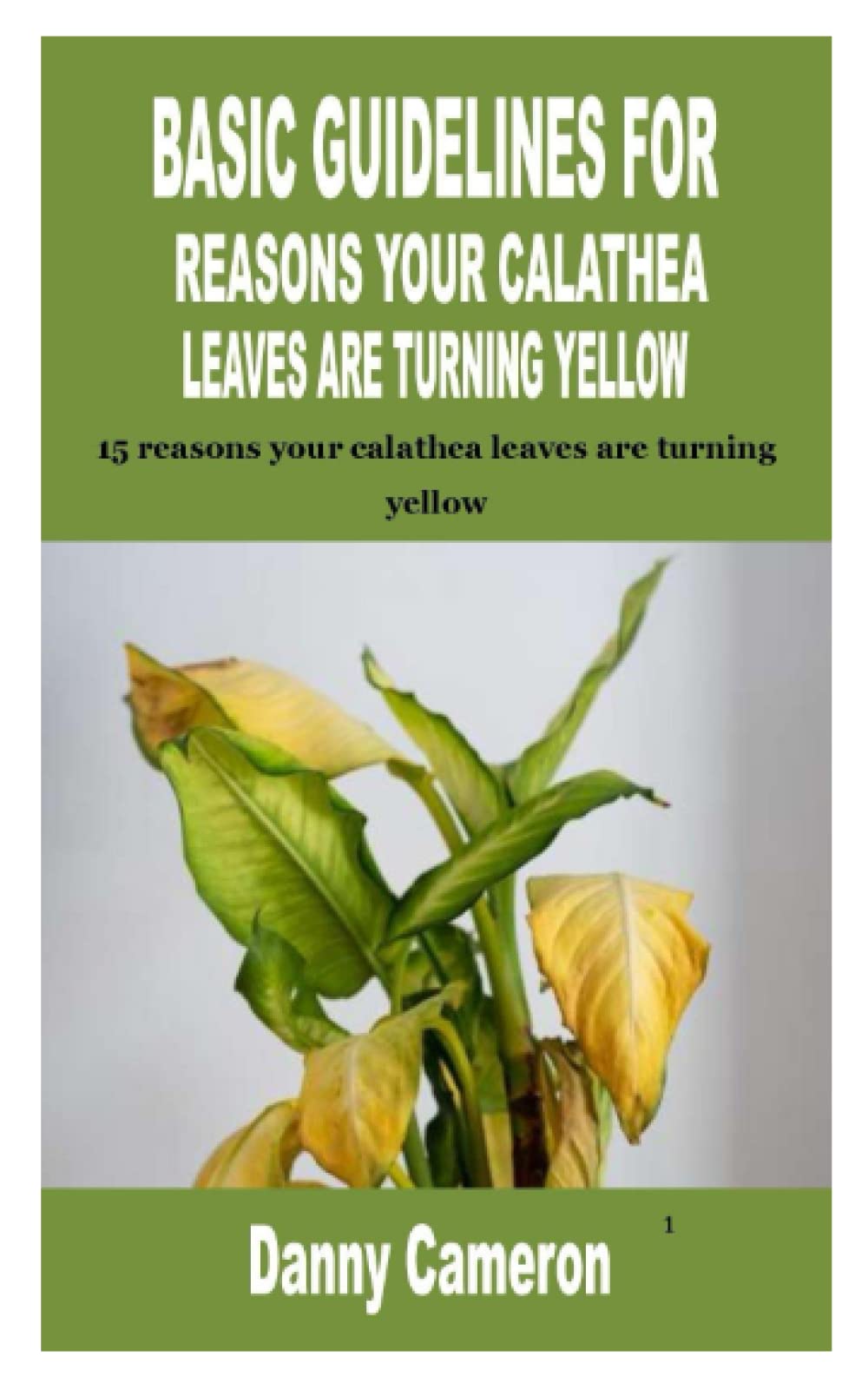 BASIC GUIDELINES FOR REASONS YOUR CALATHEA LEAVES ARE TURNING YELLOW: 15 reasons your calathea leaves are turning yellow
