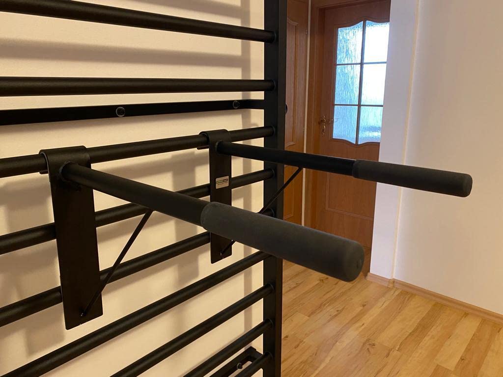 ARTIMEX Barre à dips (Barre d'immersion) pour l'espalier - utilisée dans Les Maisons, Les gymnases ou Les centres de Fitness pour l'entraînement et Le Fitness, Code 270-FI